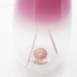 Ranunkel-vase fra Glas