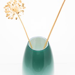 Skyfri-vase fra Glas